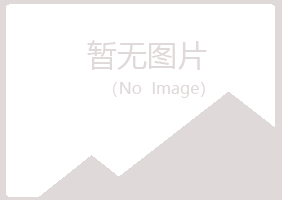 山西冰夏化学有限公司